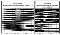 absorcao Ph cannabis