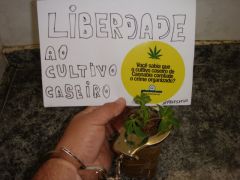 Liberdade2