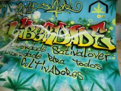 Grafite Liberdade SativaLover