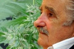 Uruguay President Mujica Propses Plan To Legalize Marijuana