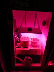 Led Growbox