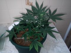 IMG 20121030 192244