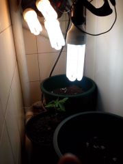 IMG 20120923 184329