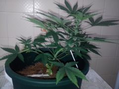 IMG 20121030 192257