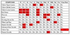 cannabis nutrient deficiency table