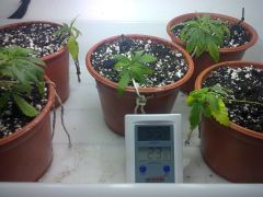 Foto0584