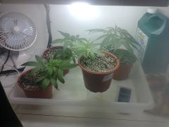 Foto0722