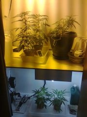 Foto0842