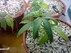 Foto0577