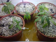 Foto0580
