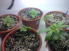Foto0634