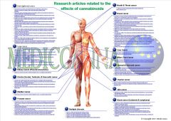 Mediccanna visual overview research articles cannabinoids