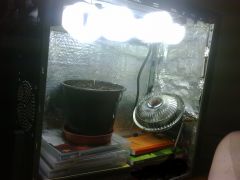 Pc Grow 2   30 11 11