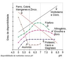 Sem título