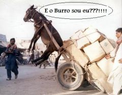 E o burro...