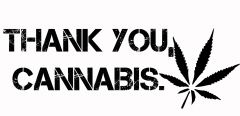 Thank You  Cannabis