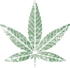 cannabis leaf stencil