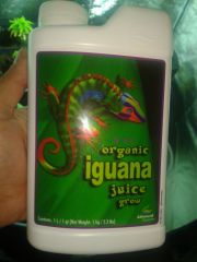 Iguana Juice