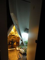 DSC00694