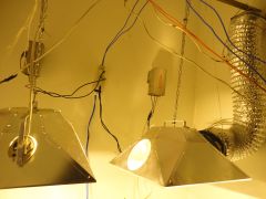 DSC00670