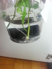 20130619 211114