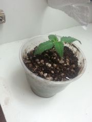 20130619 211028