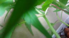 DSC01127
