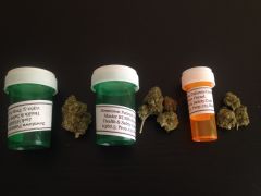 Jack Herer / Master Bubba Kush / Sour Diesel