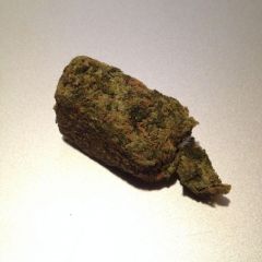 Marley's Collie
