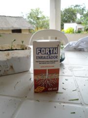 Enraizador Forth