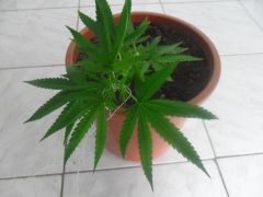 12 01 12