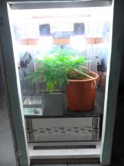 06 02 12gr