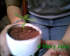 Mary Jane 21-11-11