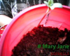 Mary Jane 10-11-11