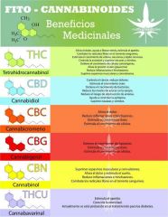 cannabinoides beneficios medicinales