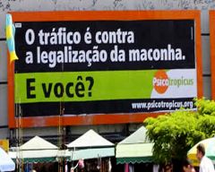 trafico contra legalizacao maconha