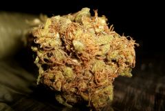 Bud orangebud