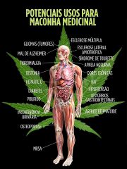 Cannabis Medicinal - Medical Cannabis