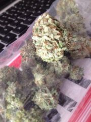 6,7g de GREEN CRACK KUSH