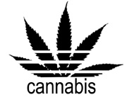 cannabis adidas