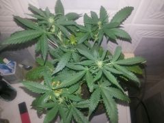 20141031 211223