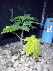 CAM00039[1]
