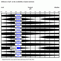 Fig 21