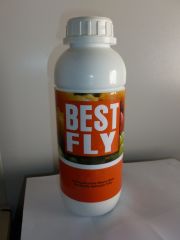 bestfly1