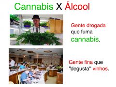 Cannais X alcool