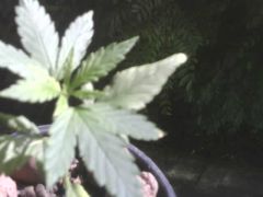 jpg0123