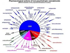 farmacologiadaCannabis