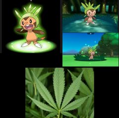 pokeganja