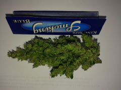 TOP BUD BLUE CHEESE