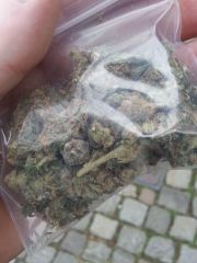 Super skunk de maastrich